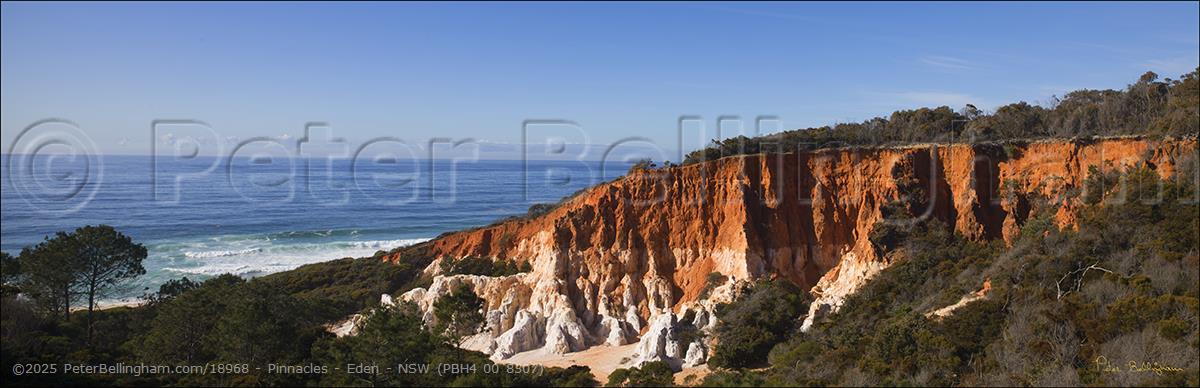 Peter Bellingham Photography Pinnacles - Eden - NSW (PBH4 00 8507)